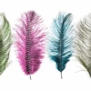 MFC - Barred Ostrich Plume -Fly Fish Food Store 0 1 492