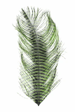 MFC - Barred Ostrich Plume -Fly Fish Food Store 0 1 492 139
