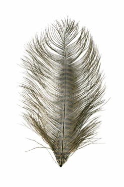 MFC - Barred Ostrich Plume -Fly Fish Food Store 0 1 492 566