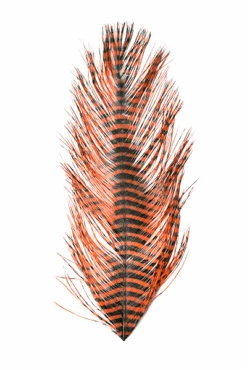 MFC - Barred Ostrich Plume -Fly Fish Food Store 0 1 492 591