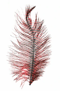 MFC - Barred Ostrich Plume -Fly Fish Food Store 0 1 492 706