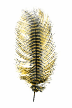 MFC - Barred Ostrich Plume -Fly Fish Food Store 0 1 492 877