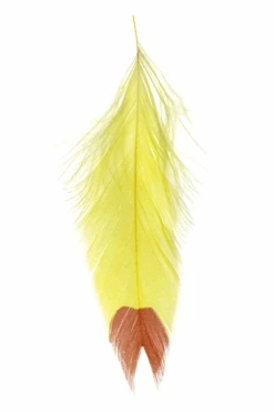 MFC - Galloup's Fish Feathers - Fin Tip -Fly Fish Food Store 0 1 633 895