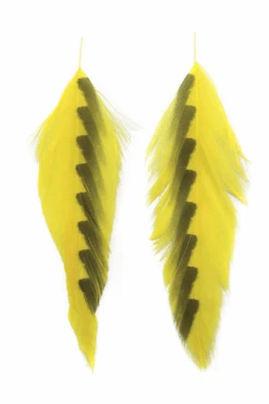 MFC - Galloup's Fish Feathers - Shark Fin -Fly Fish Food Store 0 1 634 894