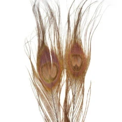 Nature's Spirit Bleached Dyed Peacock Sticks