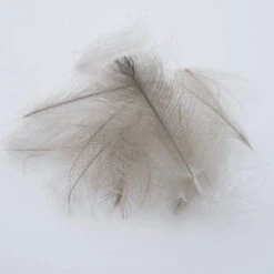 Canada Goose CDC - Natural Blue Dun CDC