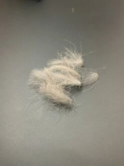 Fly Fish Food “Duck Butt” CDC -Fly Fish Food Store D3FD0146 FE0C 4365 A95E 11711D63092F