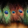 Hareline Dyed Peacock Eye Sticks -Fly Fish Food Store DPES 2