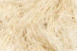 Hareline Dyed Over White Peacock Herl -Fly Fish Food Store DPH141