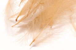 Hareline 1 Gram Bulk Pack CDC 17 Hareline 1 Gram Bulk Pack CDC -Fly Fish Food Store GCDC369