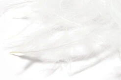 Hareline 1 Gram Bulk Pack CDC 18 Hareline 1 Gram Bulk Pack CDC -Fly Fish Food Store GCDC377