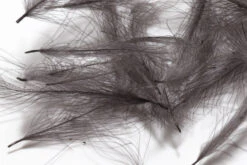 Hareline 1 Gram Bulk Pack CDC 21 Hareline 1 Gram Bulk Pack CDC -Fly Fish Food Store GCDC89