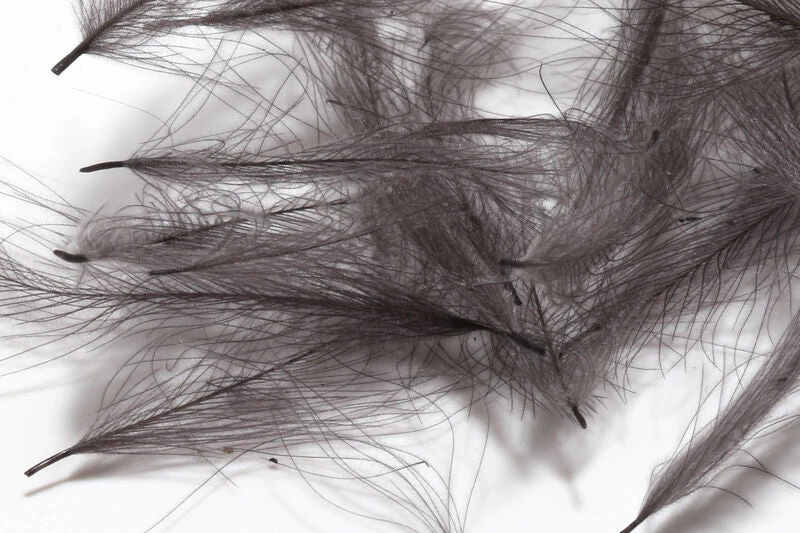 Hareline 1 Gram Bulk Pack CDC 12 Hareline 1 Gram Bulk Pack CDC - Image 10