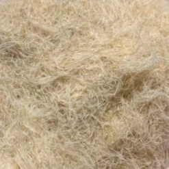 Swiss CDC Dubbing -Fly Fish Food Store IMG 4052