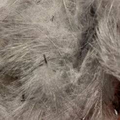 Swiss CDC 100% Natural Dyed Grade 24 Swiss CDC 100% Natural Dyed Grade -Fly Fish Food Store IMG 4220