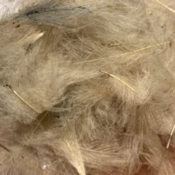 Swiss CDC 100% Natural Dyed Grade 25 Swiss CDC 100% Natural Dyed Grade -Fly Fish Food Store IMG 4221