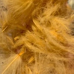 Swiss CDC 100% Natural Dyed Grade 33 Swiss CDC 100% Natural Dyed Grade -Fly Fish Food Store IMG 4230