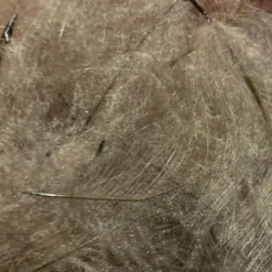 TroutHunter Premium Bulk CDC -Fly Fish Food Store IMG 5011