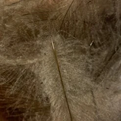 TroutHunter Premium Bulk CDC -Fly Fish Food Store IMG 5015