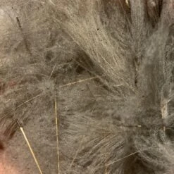 TroutHunter Premium Bulk CDC -Fly Fish Food Store IMG 5018