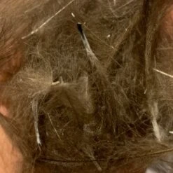 TroutHunter Premium Bulk CDC -Fly Fish Food Store IMG 5031 c1992016 9d1b 42ca b1f7 fb043cd953de