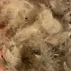 Swiss CDC Puffs -Fly Fish Food Store IMG 5040