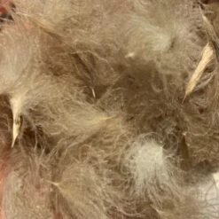 Swiss CDC Puffs -Fly Fish Food Store IMG 5041