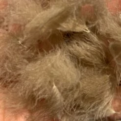 Swiss CDC Puffs -Fly Fish Food Store IMG 5042