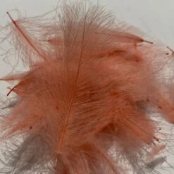 Swiss CDC Standard Grade 39 Swiss CDC Standard Grade -Fly Fish Food Store IMG 5086