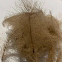 Swiss CDC Standard Grade 31 Swiss CDC Standard Grade -Fly Fish Food Store IMG 5094