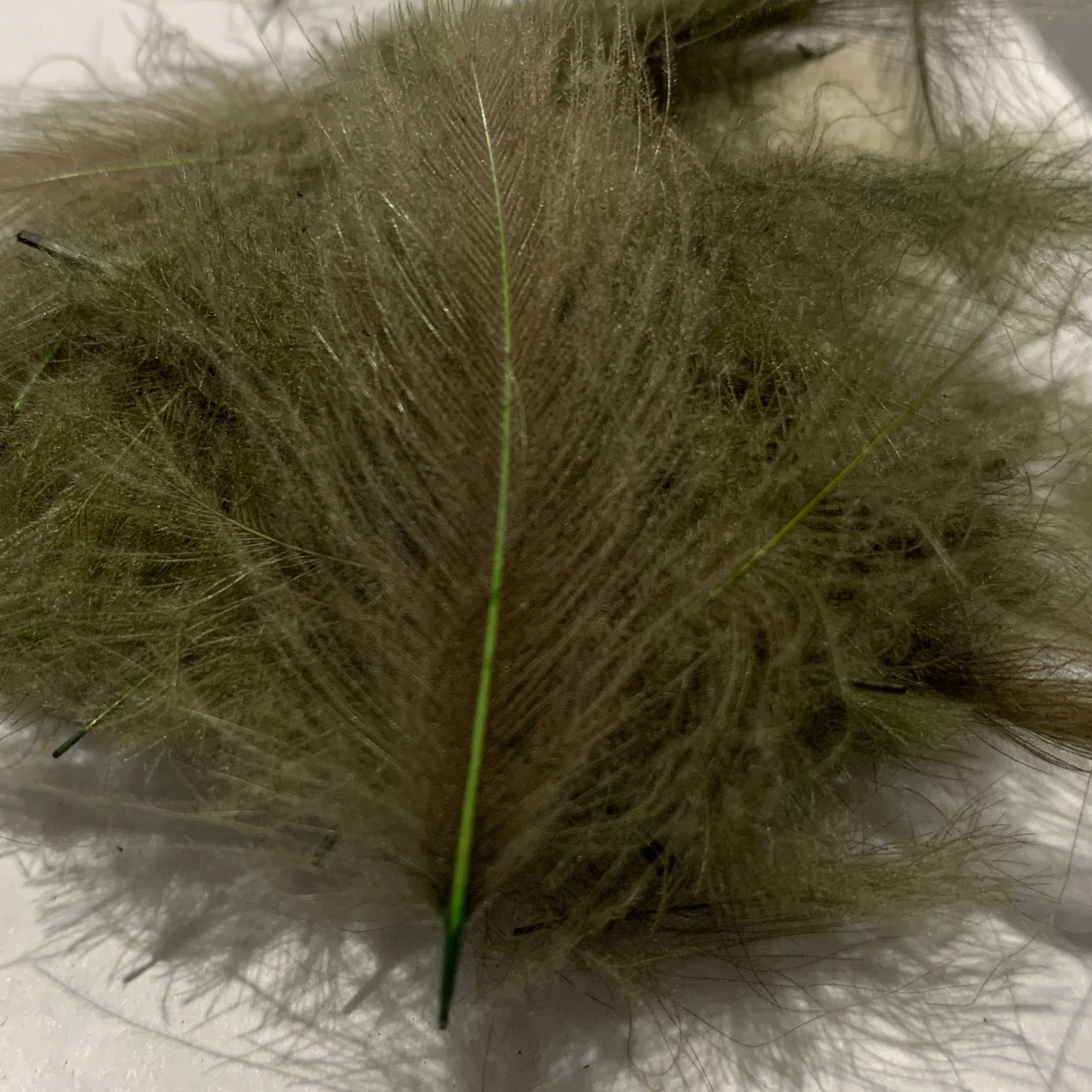 Swiss CDC Standard Grade 11 Swiss CDC Standard Grade - Image 9