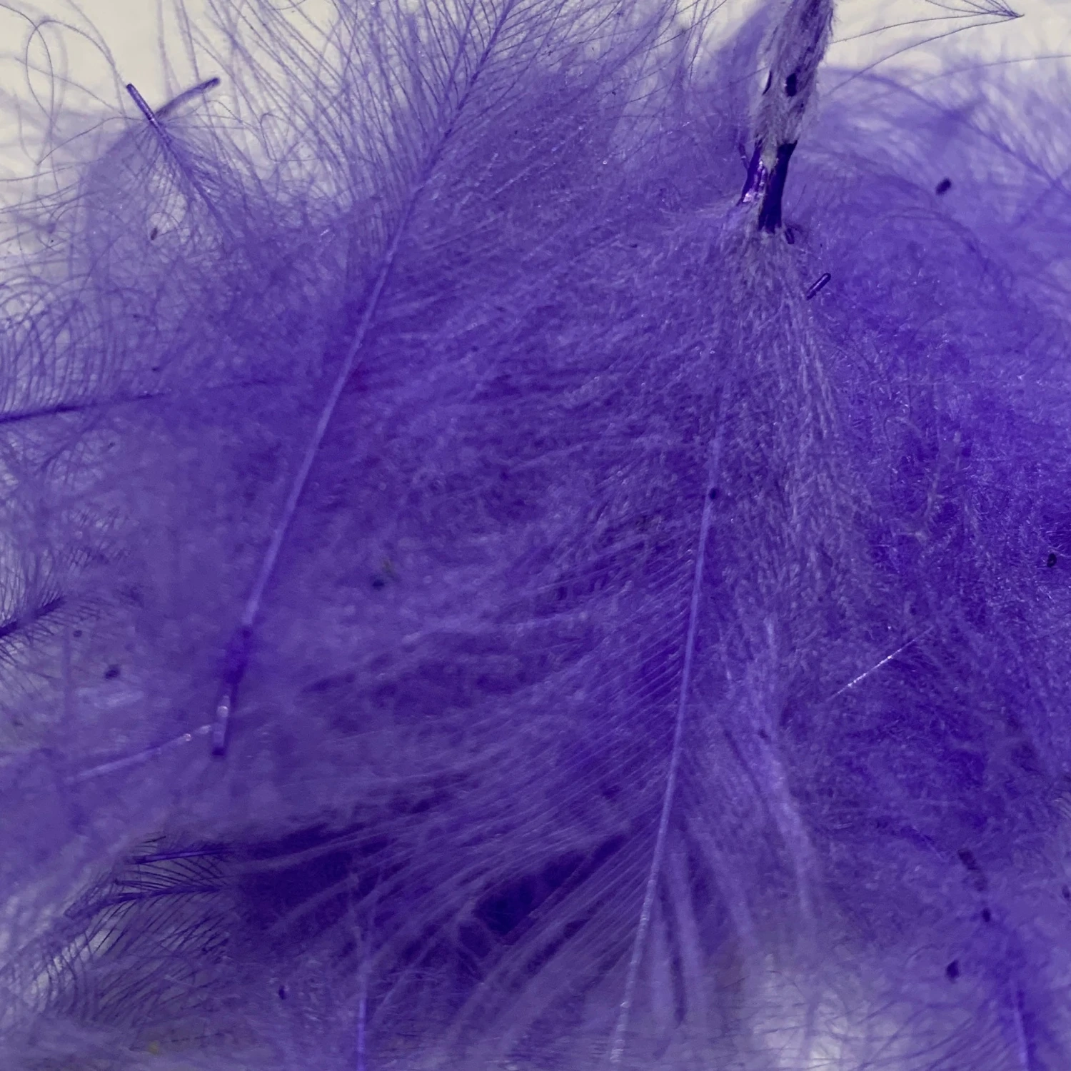 Swiss CDC Standard Grade 5 Swiss CDC Standard Grade - Image 3