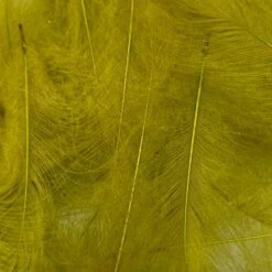 Swiss CDC Super Select Grade 25 Swiss CDC Super Select Grade -Fly Fish Food Store IMG 6410