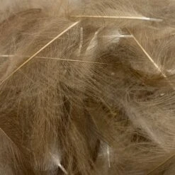 Swiss CDC Ultra Select XL Grade -Fly Fish Food Store IMG 6417