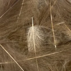 Swiss CDC Ultra Select XL Grade -Fly Fish Food Store IMG 6418