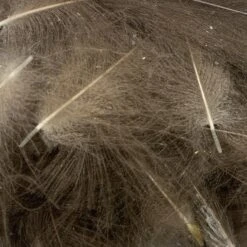 Swiss CDC Ultra Select XL Grade -Fly Fish Food Store IMG 6419