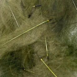 Swiss CDC Ultra Select XL Grade -Fly Fish Food Store IMG 6420