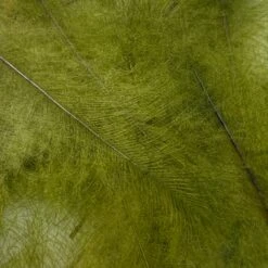 Swiss CDC Ultra Select XL Grade -Fly Fish Food Store IMG 6425