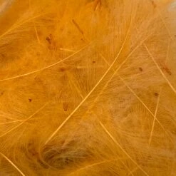 Swiss CDC Ultra Select XL Grade -Fly Fish Food Store IMG 6426