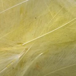 Swiss CDC Ultra Select XL Grade -Fly Fish Food Store IMG 6428