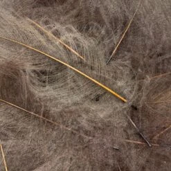 Swiss CDC Ultra Select XL Grade -Fly Fish Food Store IMG 6429