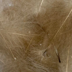 Swiss CDC Super Select Grade 35 Swiss CDC Super Select Grade -Fly Fish Food Store IMG 6433