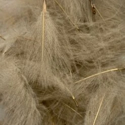 Swiss CDC Super Select Grade 29 Swiss CDC Super Select Grade -Fly Fish Food Store IMG 6435