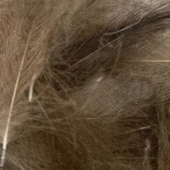 Swiss CDC Ultra Select XL Grade -Fly Fish Food Store IMG 6437