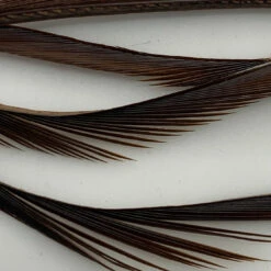 Hareline Stripped Goose Biots -Fly Fish Food Store IMG 6442