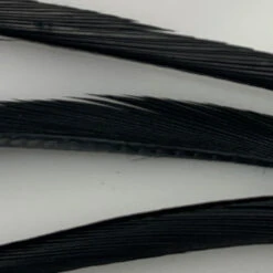 Hareline Stripped Goose Biots -Fly Fish Food Store IMG 6446