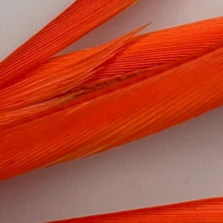 Hareline Stripped Goose Biots -Fly Fish Food Store IMG 6449