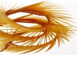 Semperfli Inferno Goose Biots -Fly Fish Food Store Inferno Brown