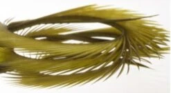 Semperfli Inferno Goose Biots -Fly Fish Food Store Inferno Dark Olive