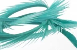 Semperfli Inferno Goose Biots -Fly Fish Food Store Inferno Kingfisher